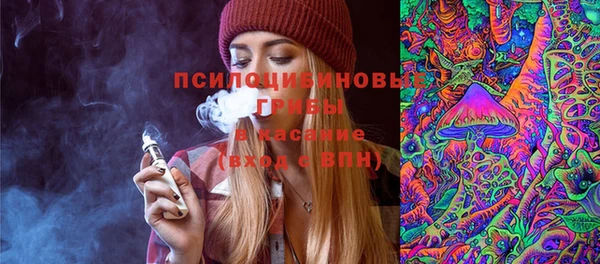 МДПВ Тында
