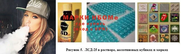 ГАЛЛЮЦИНОГЕННЫЕ ГРИБЫ Тутаев
