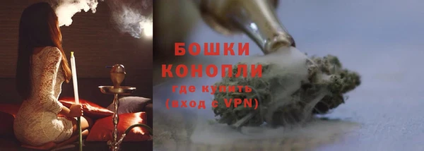 крисы Туринск
