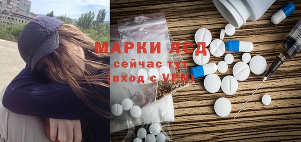 ГАЛЛЮЦИНОГЕННЫЕ ГРИБЫ Тутаев