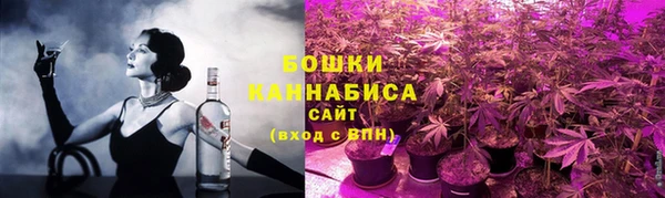 крисы Туринск