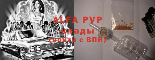 ГАЛЛЮЦИНОГЕННЫЕ ГРИБЫ Тутаев