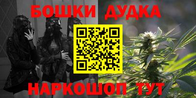 индика Балахна