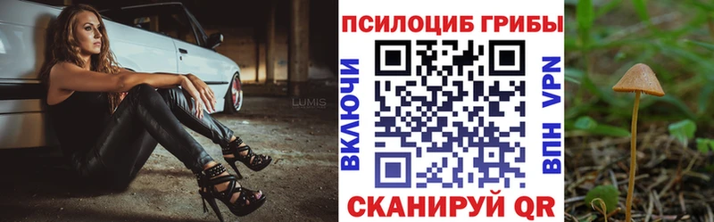 купить  сайты  Ялуторовск  Галлюциногенные грибы ЛСД 