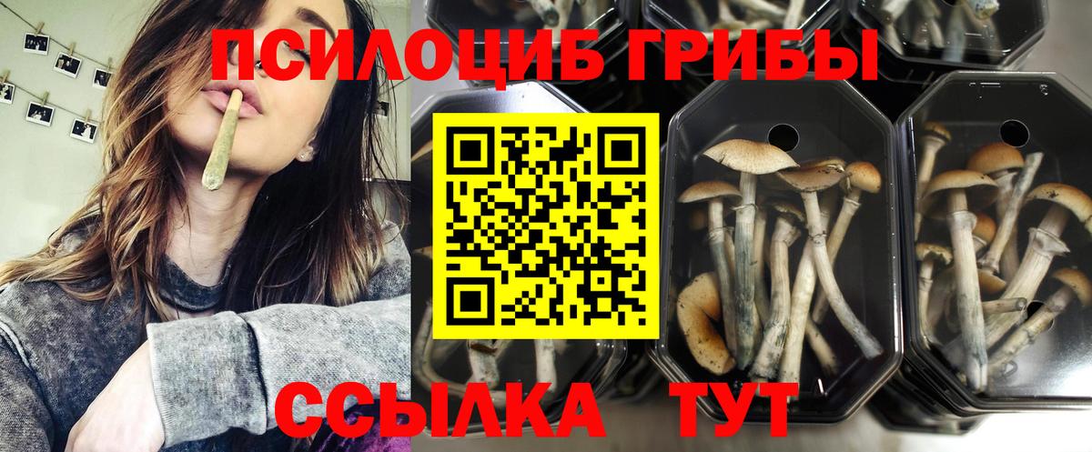 Галлюциногенные грибы Magic Shrooms  Галлюциногенные грибы Psilocybine cubensis  Ялуторовск 